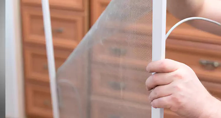 Privacy Mesh Screen Door Installation in Castro Valley, CA