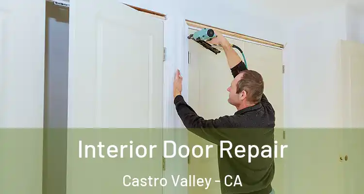 Interior Door Repair Castro Valley - CA